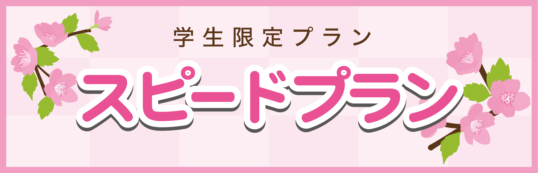南湖自動車学校 学生限定プラン スピードプラン